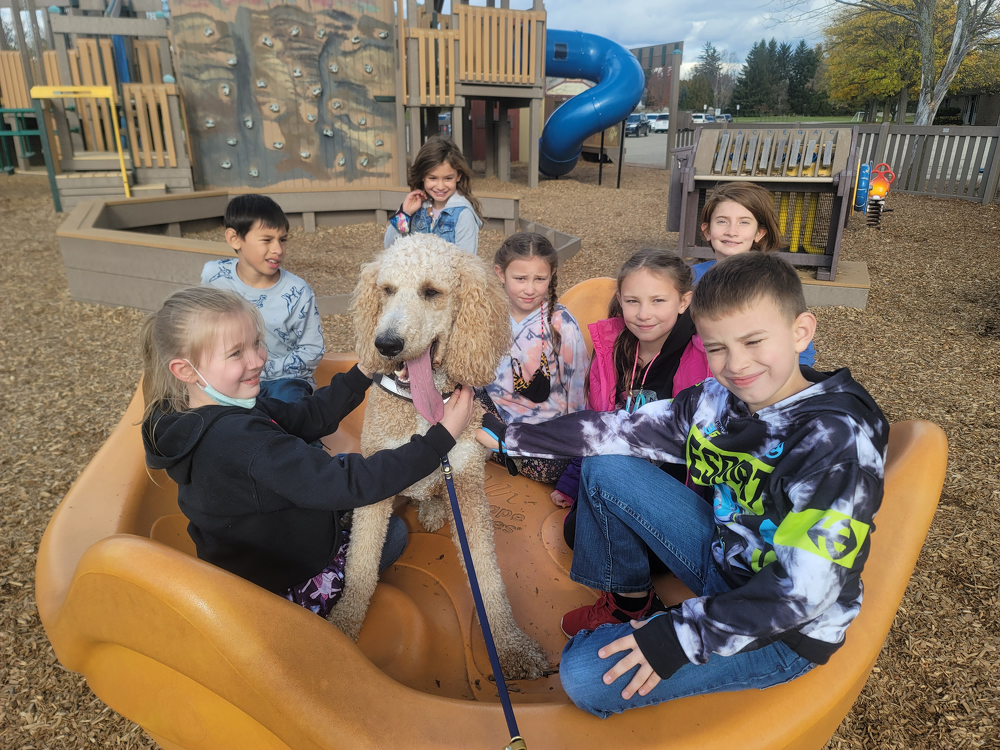 Sandee is a facility dog at Wacousta Elementary School and loves hanging out with the kiddos.