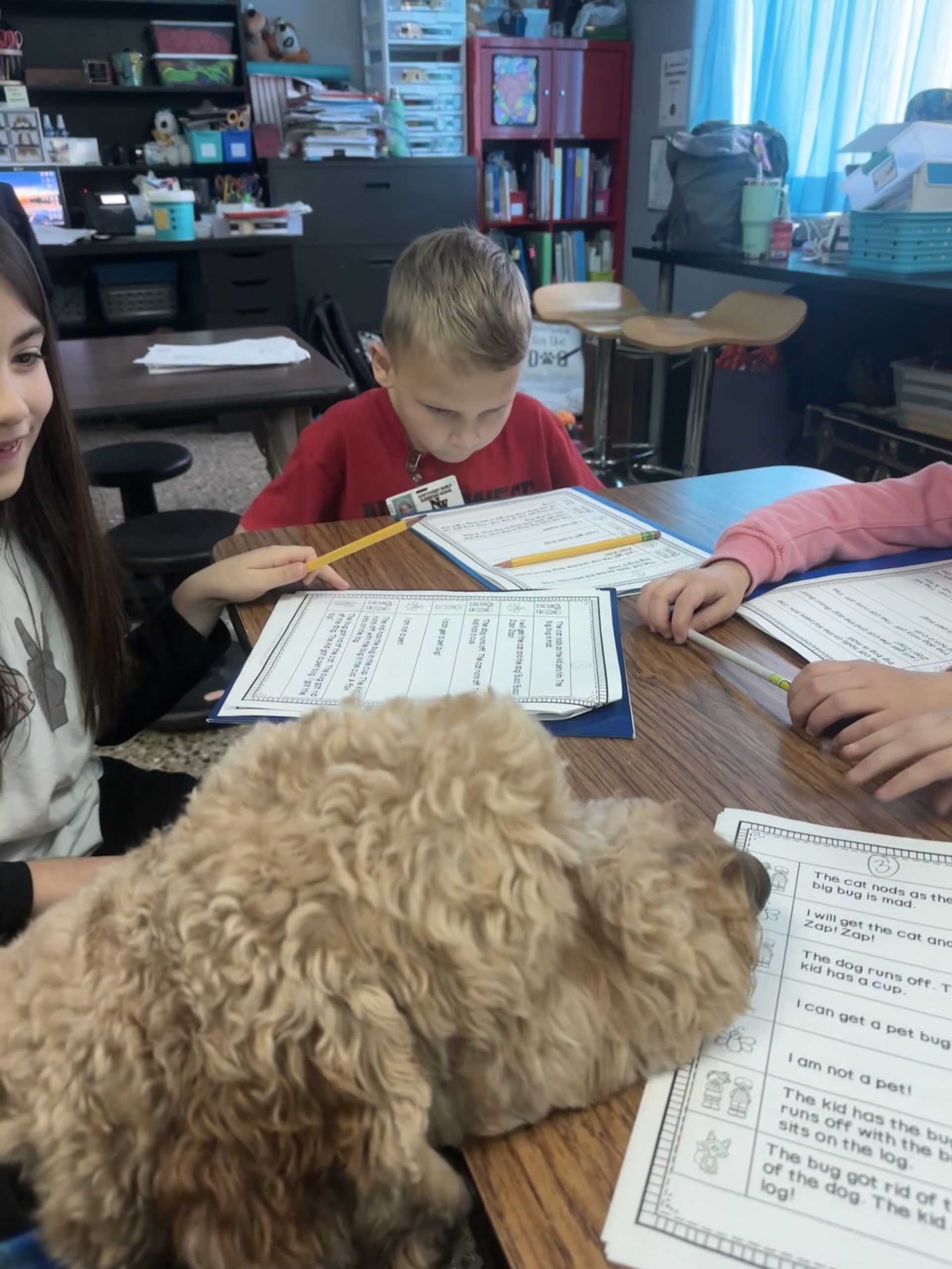 Miggz a facility dog, at Northwest Early Elementary School, helped during All Hands on Deck, literacy intervention time.